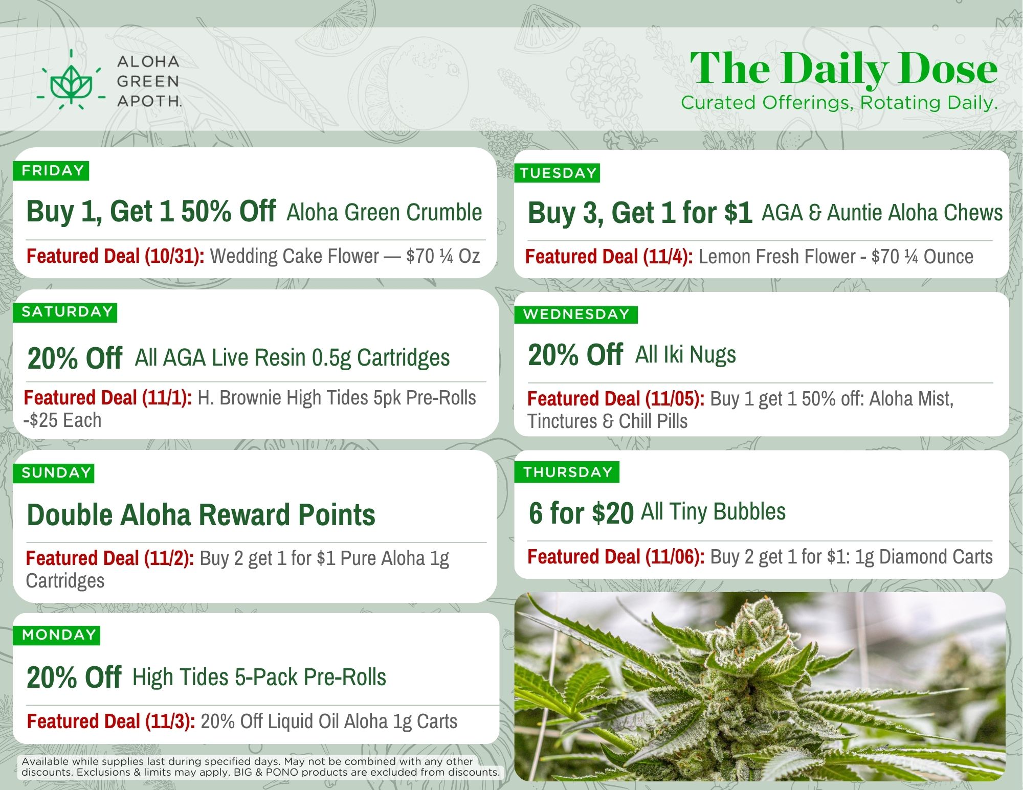 Print Sheet October 31 - November 6 (1) Sept Bundles at Aloha Green