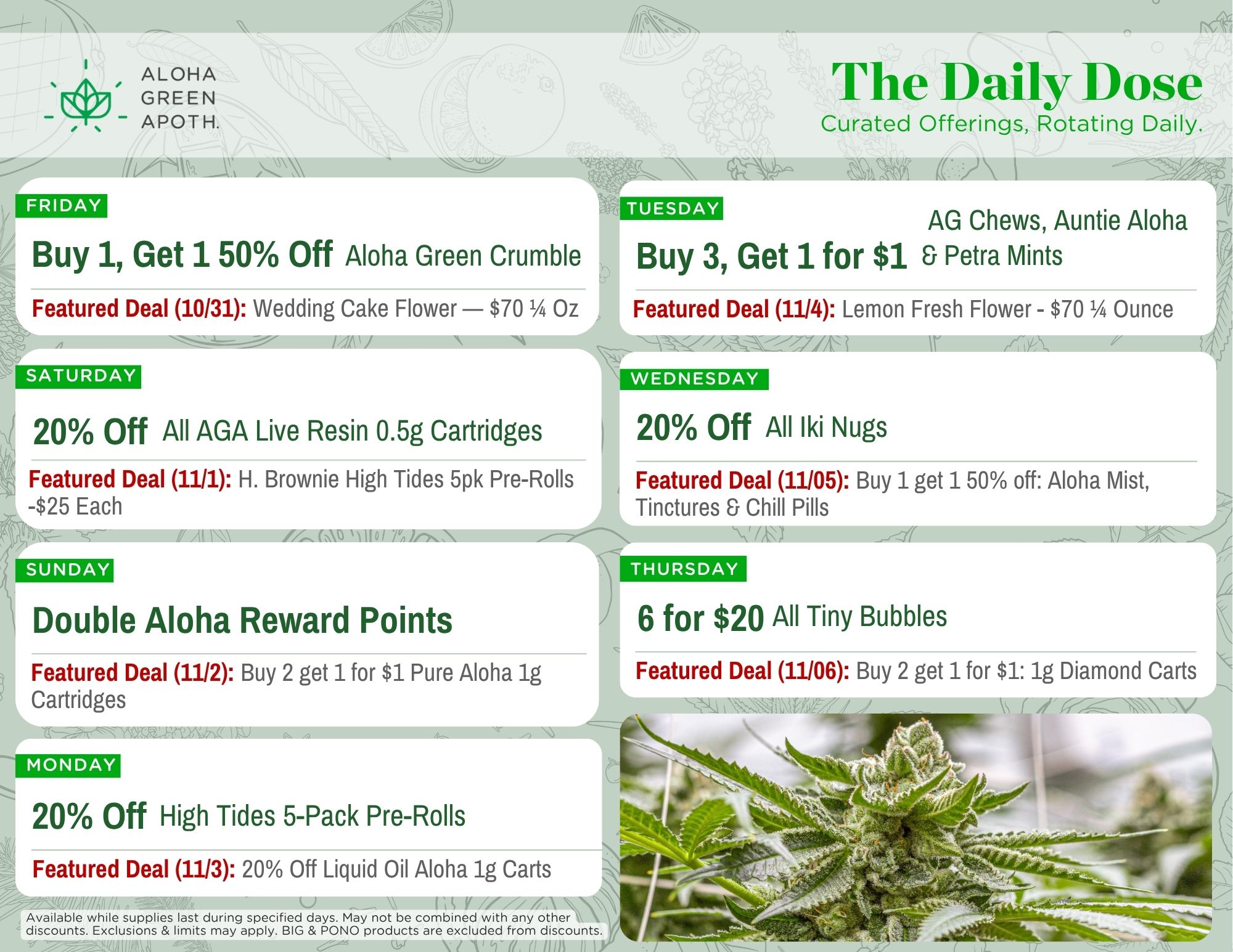 Print Sheet October 31 - November 6 Sept Bundles at Aloha Green