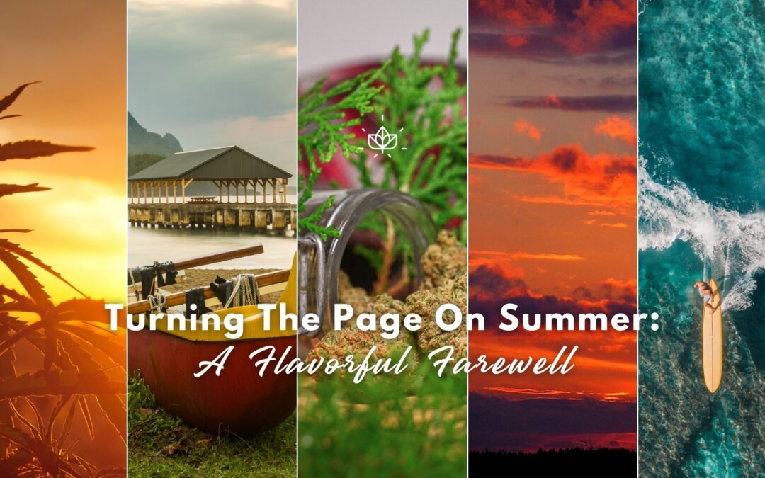 Turning the Page on Summer: A Flavorful Farewell