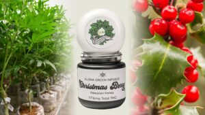 This photo showcases the Christmas Berry Honey packaging with photos of christmas berry and AGApoth plants in the background. 