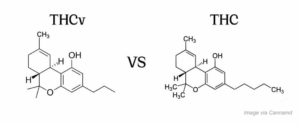 Side-by-side comparison of molecular structures for THCV and THC, highlighting the slight chemical difference between the two cannabinoids.