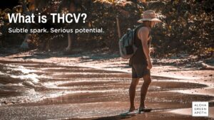 Scenic beach photo with hiker standing near shoreline, text overlay reads “What is THCV? Subtle spark. Serious potential.” and Aloha Green Apothecary logo.