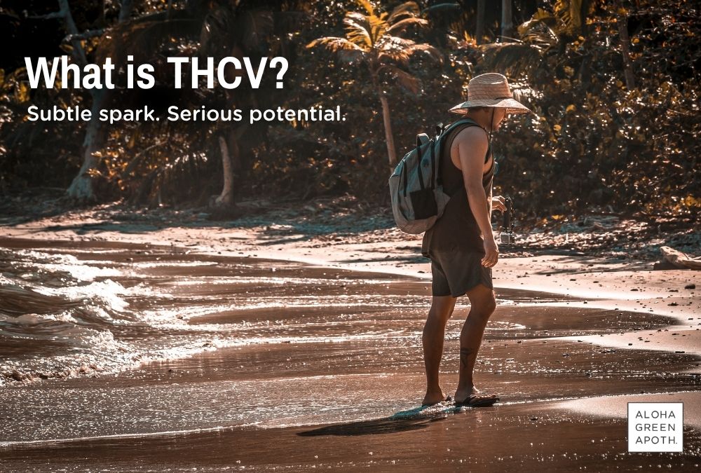 Understanding THCV: A Minor Cannabinoid with Big Potential