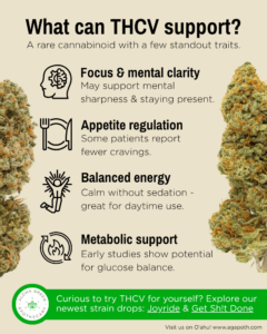 Infographic titled “What can THCV support?” listing benefits like focus, appetite regulation, balanced energy, and metabolic support with accompanying icons and images of cannabis buds.